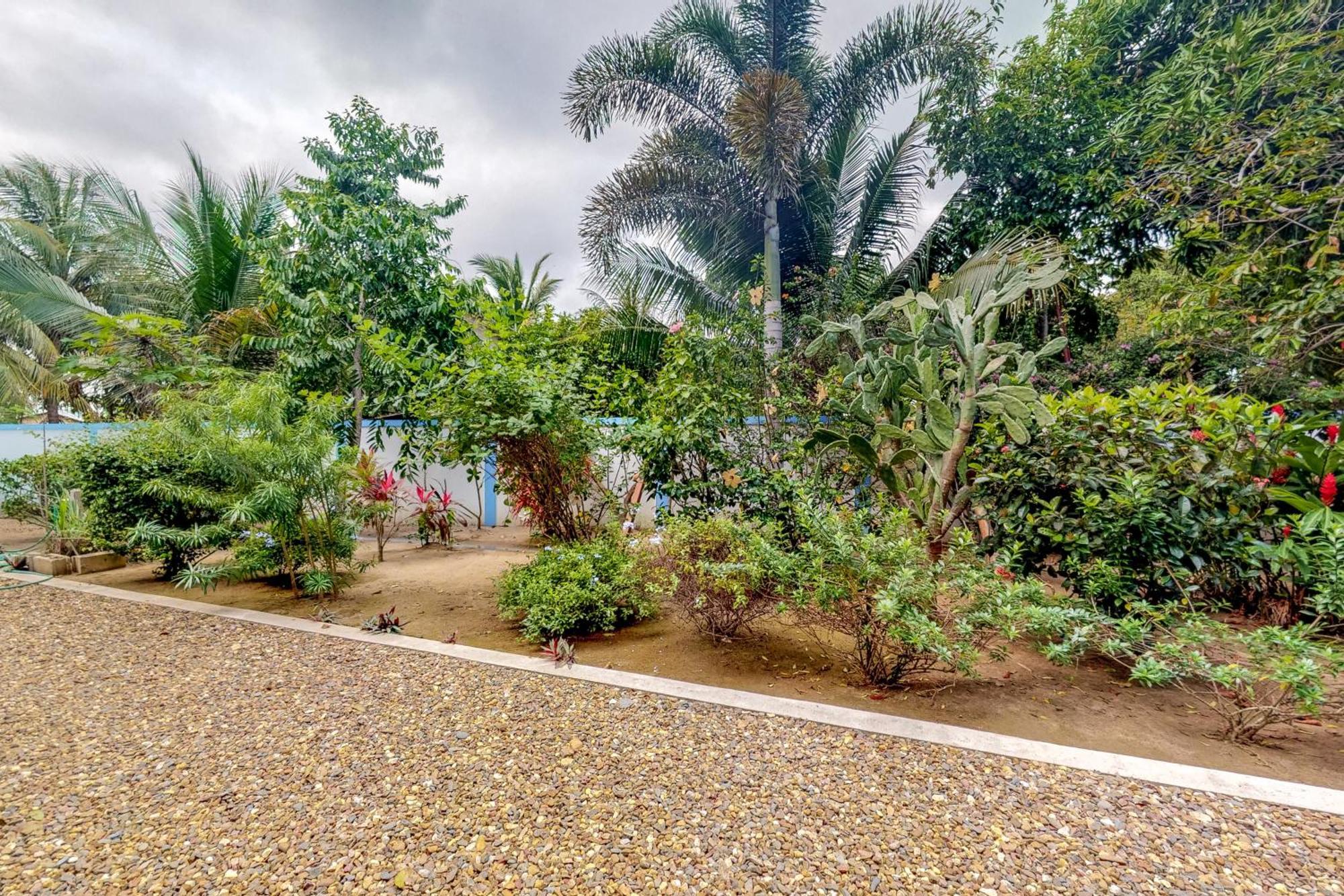 Appartamento Latitude 17 Hopkins Esterno foto